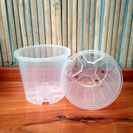 plastic plant pots nz 17cm Clear Plastic Pot – Tuckers Orchids
